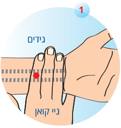 שלב 1