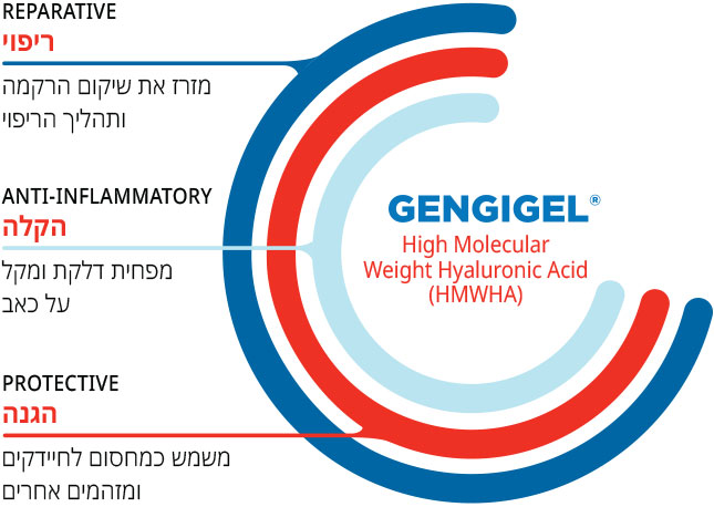 למי מתאים GENGIGEL